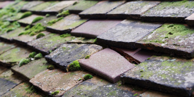 Kneesall roof repair costs